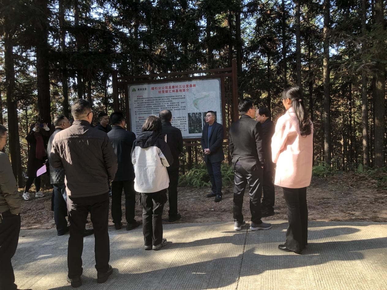 重庆市林业局一行至福建八大胜考察