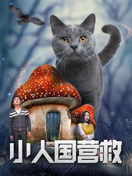 毛片在线播放免费观看