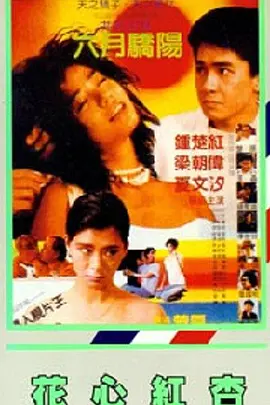 夜夜嘿视频免费看