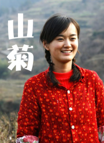 免费壁纸图片大全