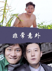 久久久久久国产精品三级